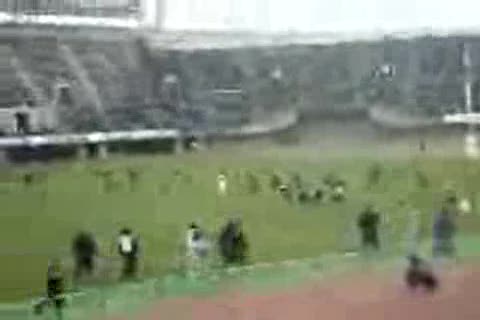 ダミー動画